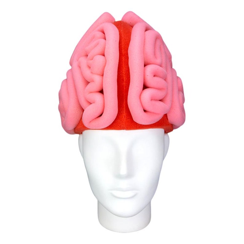 Foam Party Hats Brain Hat Anatomy Party Hat Doctor Party Etsy Ireland