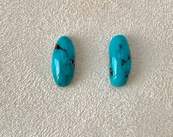Pares de turquesa natural - Hermosa turquesa azul verdosa - Matriz natural - Cabujón único para pendientes