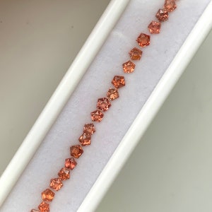 May include: A row of 15 orange and brown square-shaped gemstones in a white box.