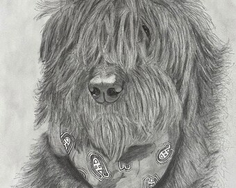 Custom Graphite Pencil Pet Portraits