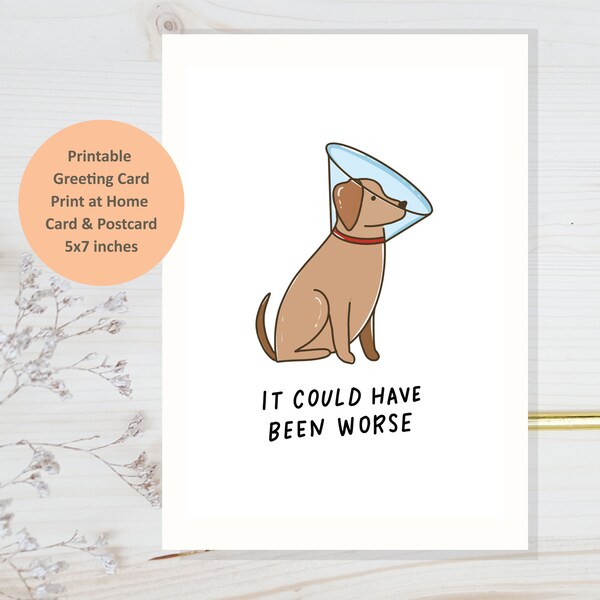 Elizabethan Collar - Etsy