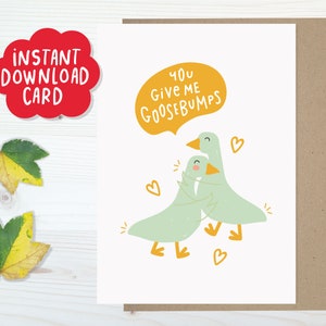 Descarga instantánea: linda tarjeta de amor para pareja imprimible, tarjeta de pareja de gansos, tarjeta de esposo encantador, tarjeta de esposa, tarjeta de gansos de amor, tarjeta de ganso gay
