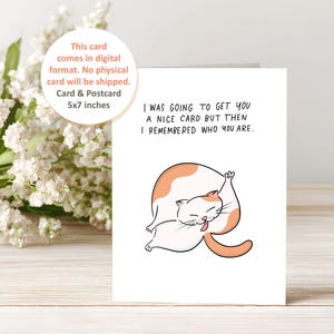 May include: A white greeting card with a cartoon cat illustration. The cat is white and orange, licking itself. Text on the card reads, "I WAS GOING TO GET YOU A NICE CARD BUT THEN I REMEMBERED WHO YOU ARE." The card is 5x7 inches.