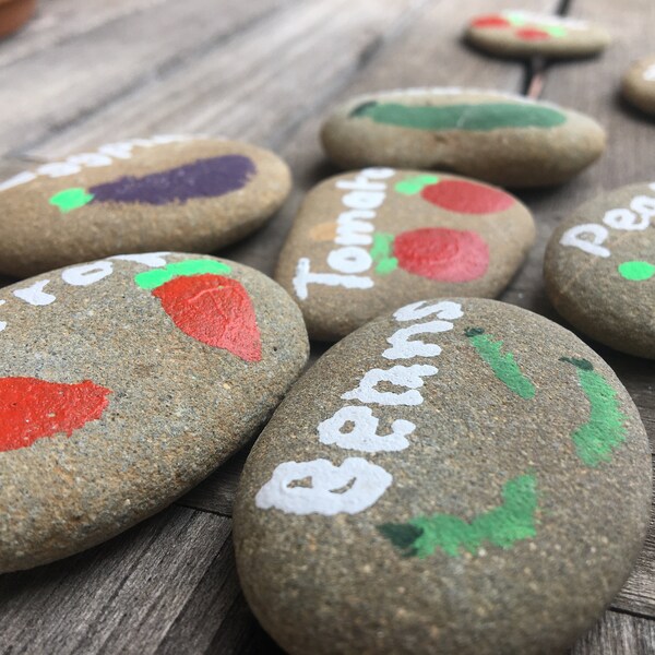 Vegetable garden and herb patch name rocks