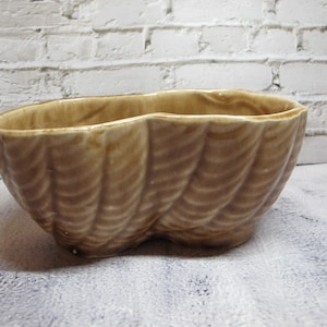 Può includere: Un vaso da fiori in ceramica marrone a forma di conchiglia. Il vaso ha una finitura liscia e lucida e una superficie leggermente strutturata.