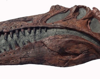 Spinosaurus Skull, Life-Size Wall Relief Sculpture