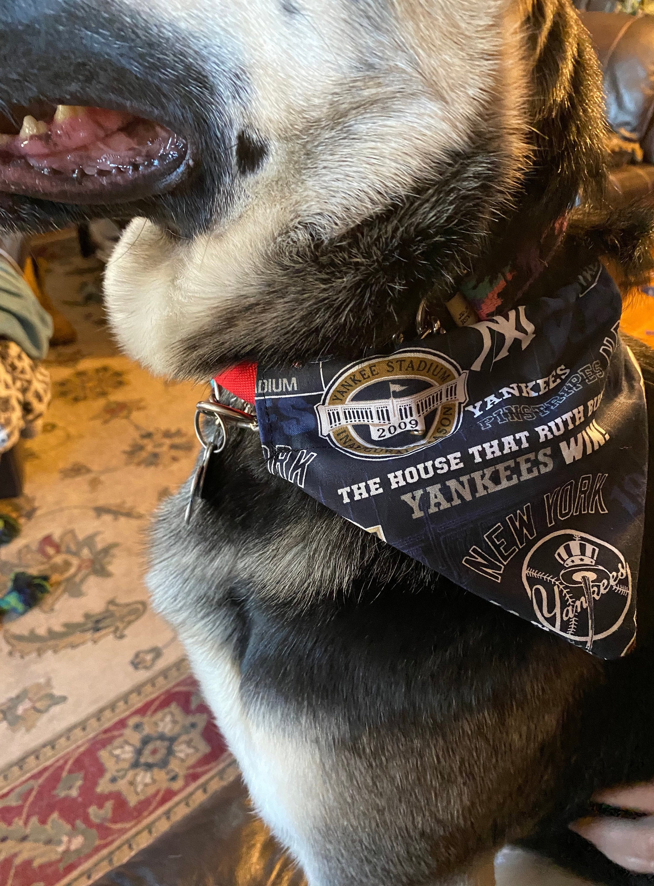 New York Yankee Dog Collar Singapore