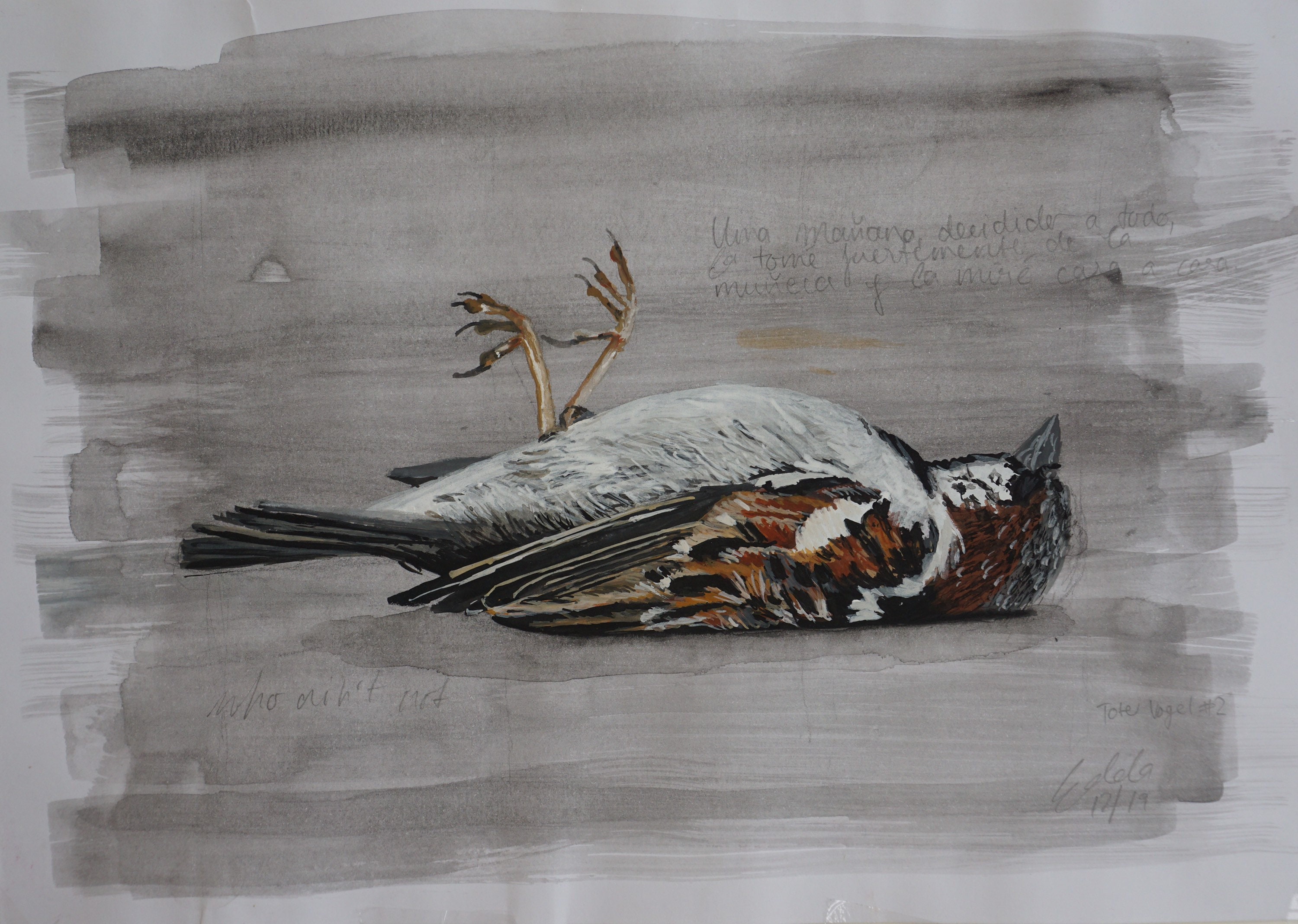 Dead bird 2 original in watercolor Etsy