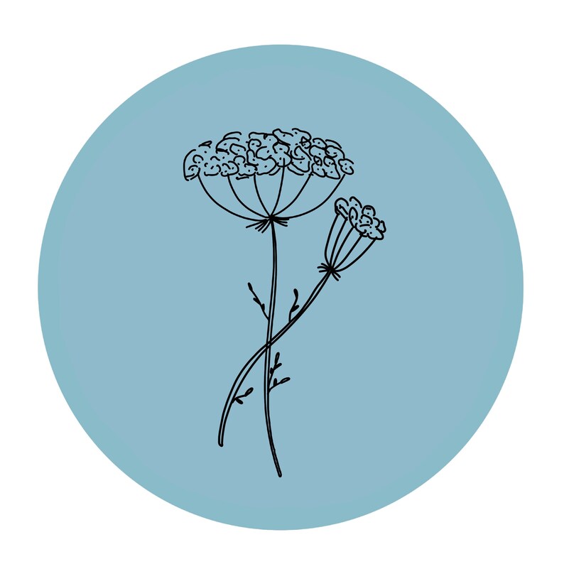 Aesthetic Circle Stickers For Bullet Journals Botanical Etsy