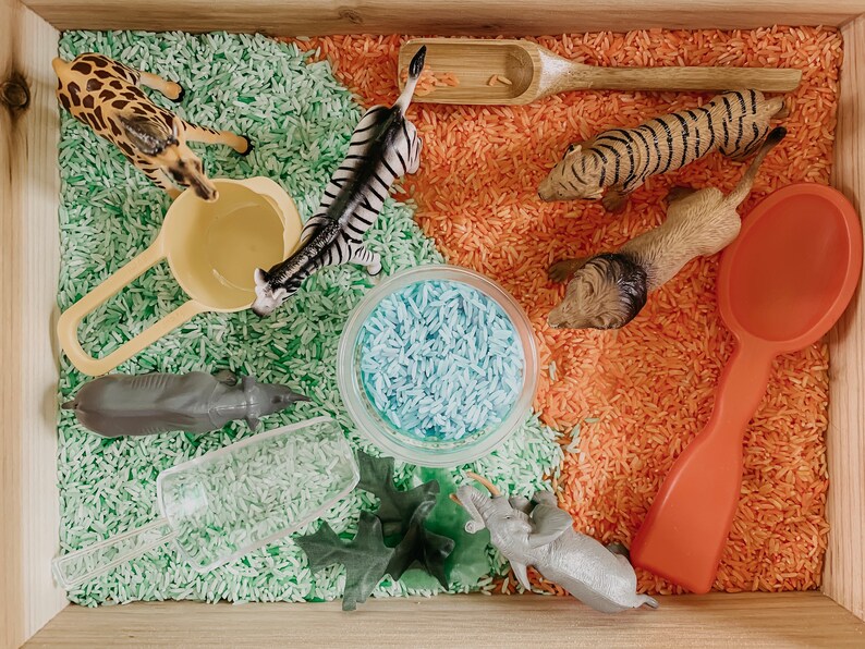 TODDLER SAFE Feed the zoo animals sensory bin 2 options Etsy