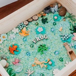 Frog pond sensory bin tray kit with coloured rice