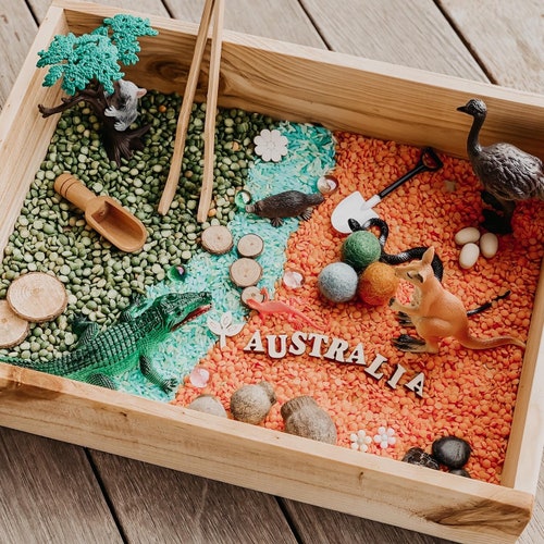 Bug Hunt Insects Nature Spring Sensory Tray Box Bin Kit Etsy Australia