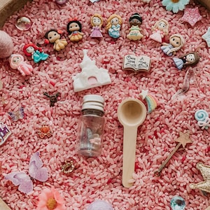 Princess Kingdom- mini sensory kit