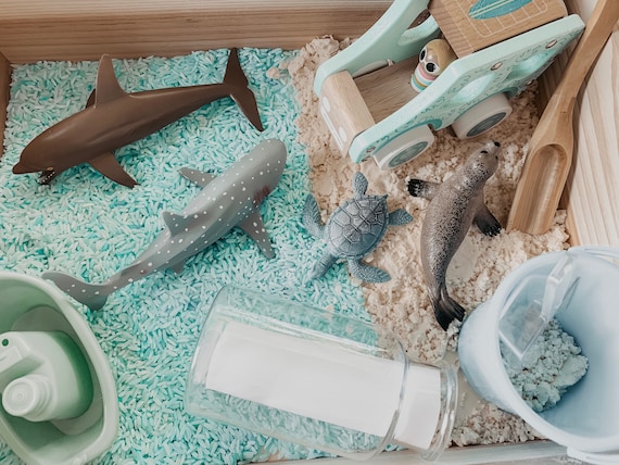 TODDLER SAFE  Beach ocean sea animals sensory bin box kit