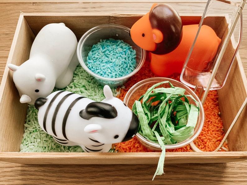 TODDLER SAFE Feed the zoo animals sensory bin 2 options Etsy