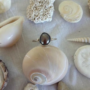 May include: A silver ring featuring a dark grey, pear-shaped pearl. The ring is presented on a large, pale seashell, with other seashells and coral fragments around it. The design is simple and elegant, emphasising the pearl's natural beauty.