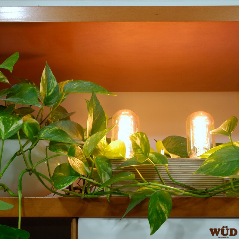 May include: A shelf with two illuminated glass light bulbs, surrounded by green and yellow pothos plants. The shelf has a wooden frame and a copper-colored top. The bottom of the shelf is white.