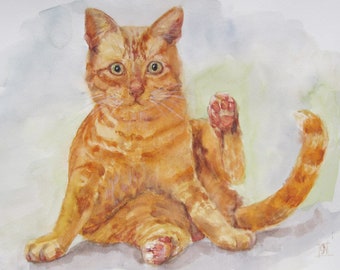 Orange cat Original watercolor painting Animal Bird art