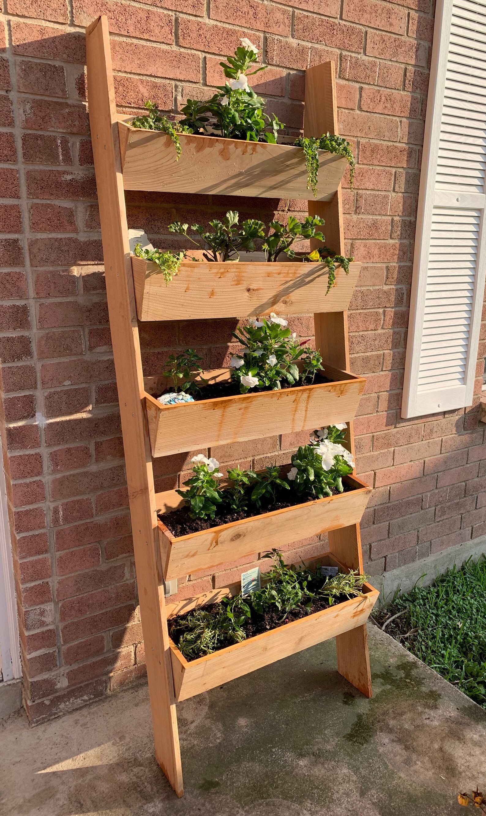 Tiered Vertical Cedar Ladder Planter Box for Garden Plants Etsy