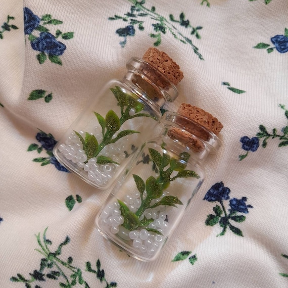 Miniature Plant in Glass Bottle Glass Bead Shaker - Etsy