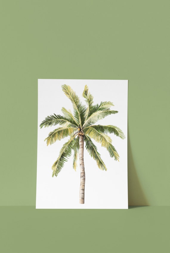 Palm tree illustration | Etsy