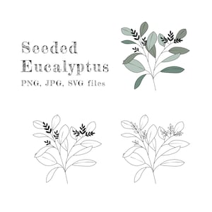 Eucalyptus Leaves (Svg,Png,Jpg) | Eucalyptus leaf, Eucalyptus Print, Sublimation Design, Botanical Print, Green Leaves, Eucalyptus Plant