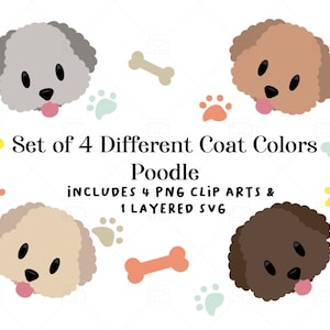 Poodle SVG, Standard Poodle svg, Poodle png clipart, Dog svg, Dogs svg | Purchase, download, perfect for any DIY