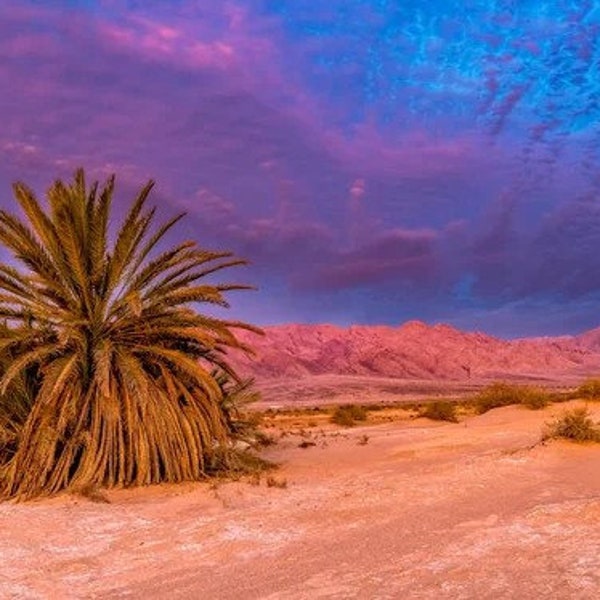 Desert Vibes - Special Edition Hand Dyed Yarn Box