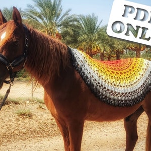 Crochet Shawl Pattern - The Camelot Shawl - Advanced Crochet Pattern - PDF ONLY
