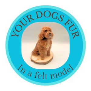Custom Dog Fur Felt Model: Personalized Pet Memorial Replica