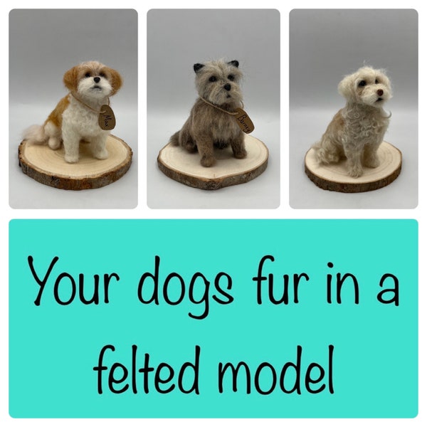 I can use your dogs fur to create a felt model / dog memorial / personalised dog / gift / pet replica / felt dog