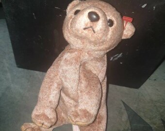 Haunted doll susan paranormal Positive