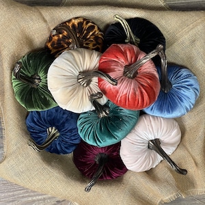 May include: A collection of ten plush velvet pumpkins in various colors including cream, dark blue, forest green, burgundy, leopard print, black, dusty rose, and light blue, each topped with a realistic brown stem and arranged in a cluster.