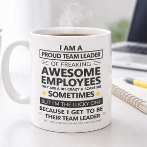 Team Leader Mug, Funny Team Leader Gift, Promotion Coffee Mug, New Job Gift for Team Lead, Office Work Appreciation Cup