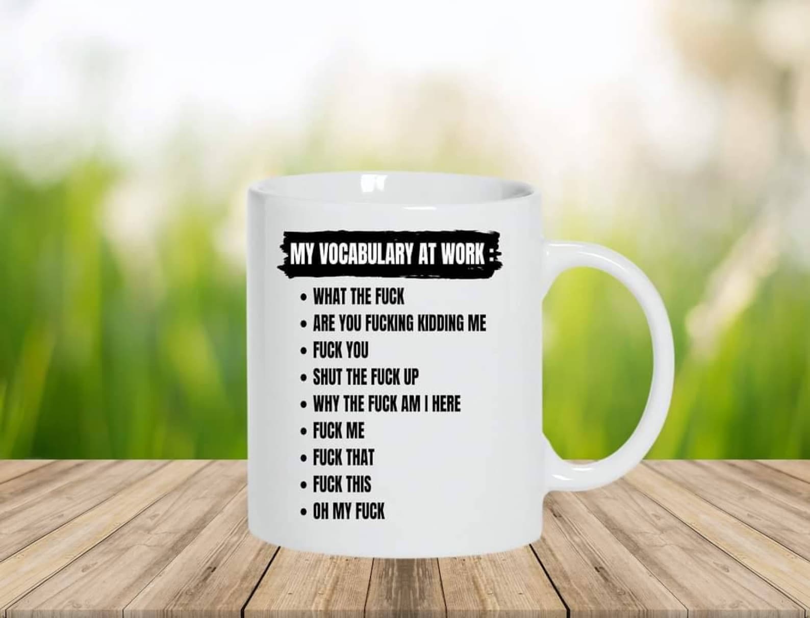 Vocabulary Mug, Funny and Rude Mug, 11oz Standard Mug, Coffee Mugs