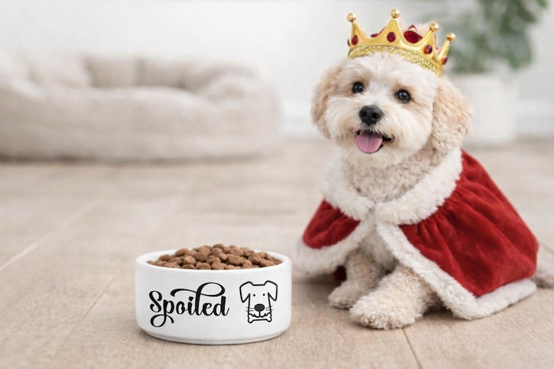 Personalised Spoiled Dog Bowl – Funny Pet Feeding Bowl, Small Ceramic Dog Bowl, Pet Lover Gift bild 3