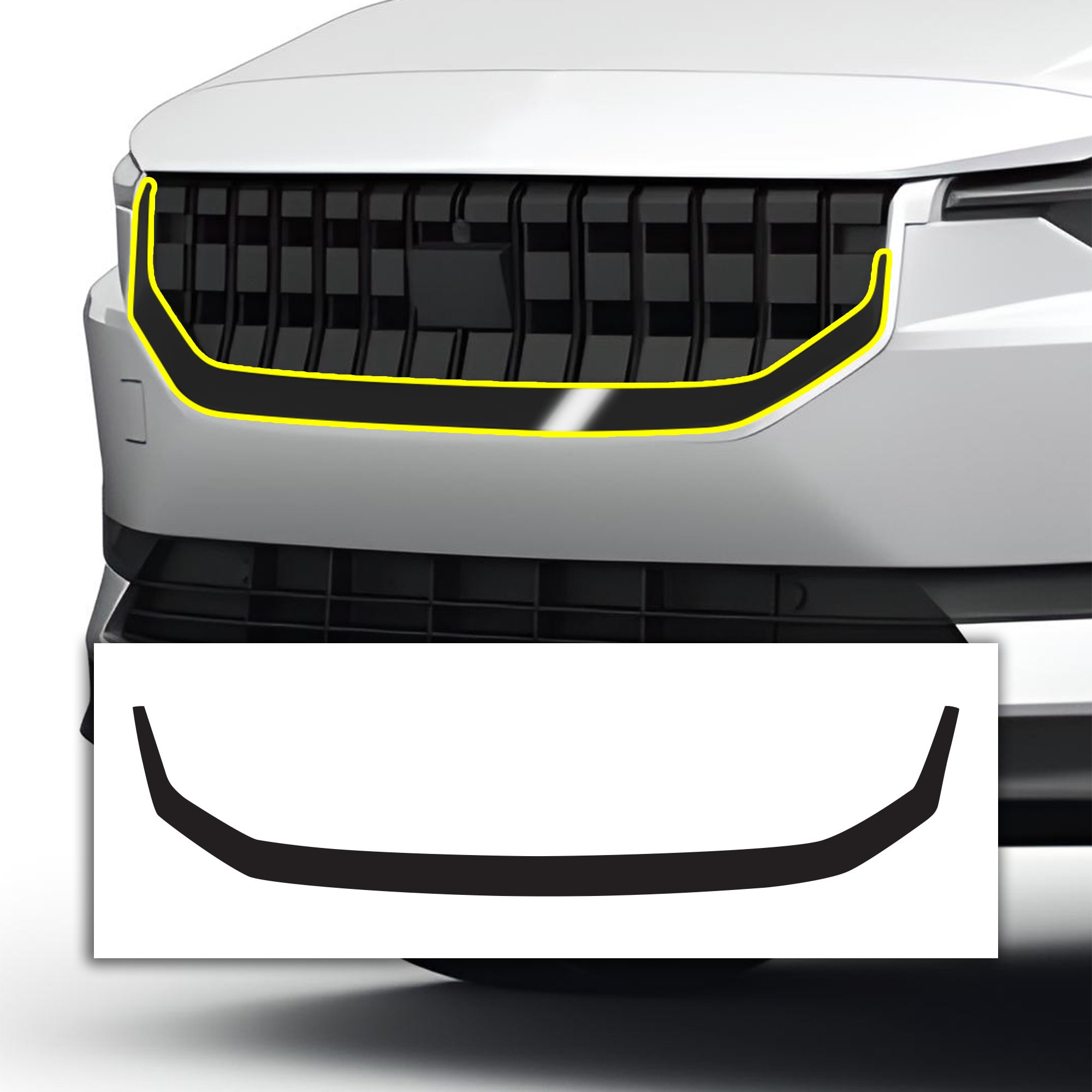 Polestar 2 chrome online delete