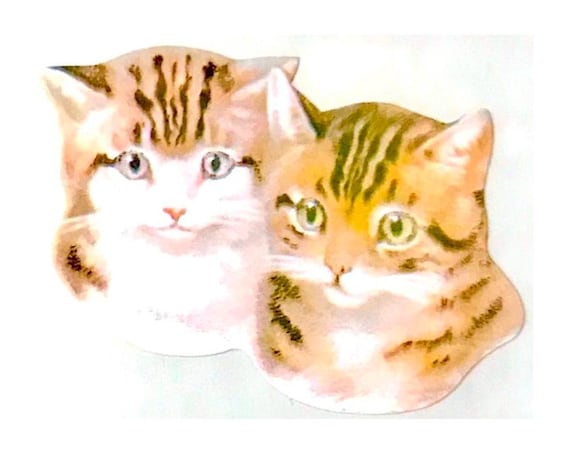 子猫 猫 子猫 サンディライオン ステッカー - 1 スクエア レア 