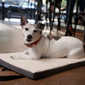 KONA CAVE® - Portable Dog Bed - Folded Travel Dog Mat - Calming Dog Bed - Great for Restaurants, Hotels, etc.  Makes a Great Gift