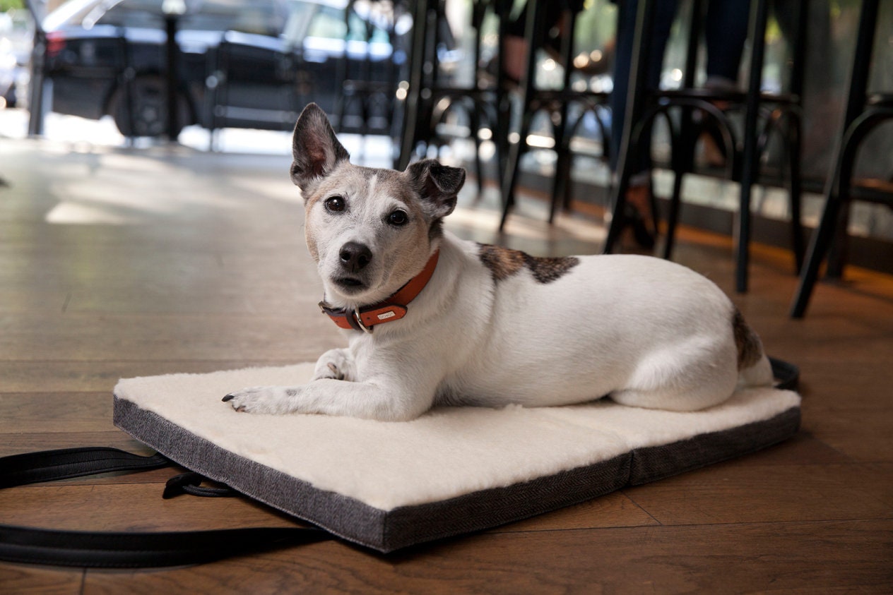 Portable Dog Bed For Home, Travel & Restaurants./Reise Hundebett - Luxury Foldable Mat, Shoulder Straps By Kona Cave®