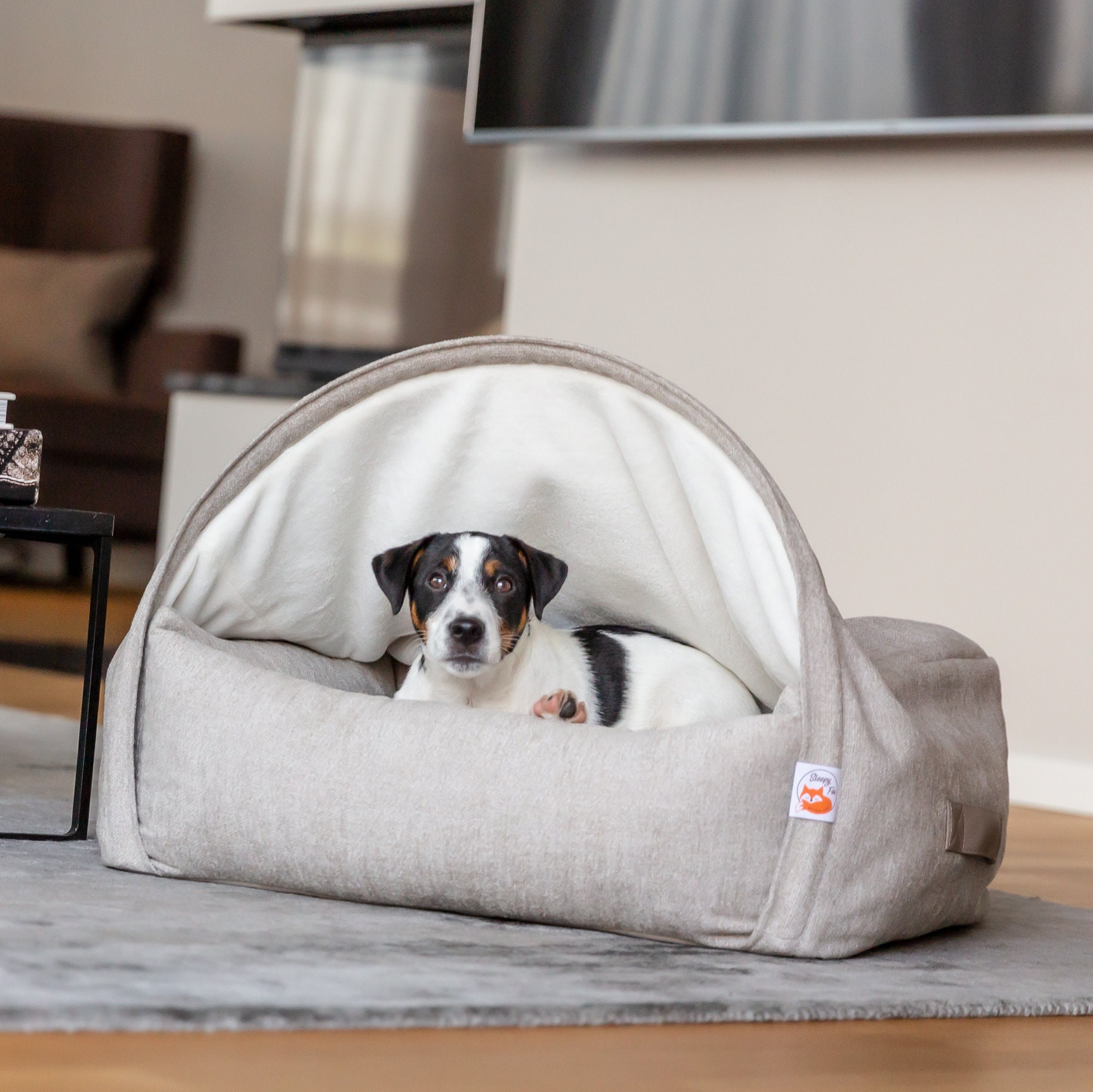 Bed for anxious dog online