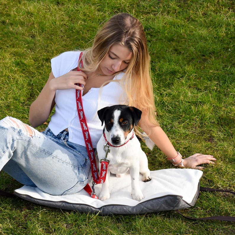 Letto per cani da viaggio Sleepy Fox® con spallacci Letto per cani da ristorante Mantiene i cani puliti e accoglienti Tragbares Hundereisebett / Hundereisematt immagine 6