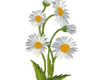 Blommönster - Prästkrage - Växt - Vit