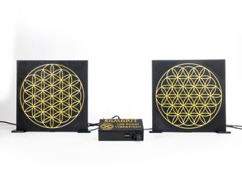 Life Power Vibration system with different passive Sacred Symbols antennas & PEMF coils / amplifier kit for PEMF vibration healing device