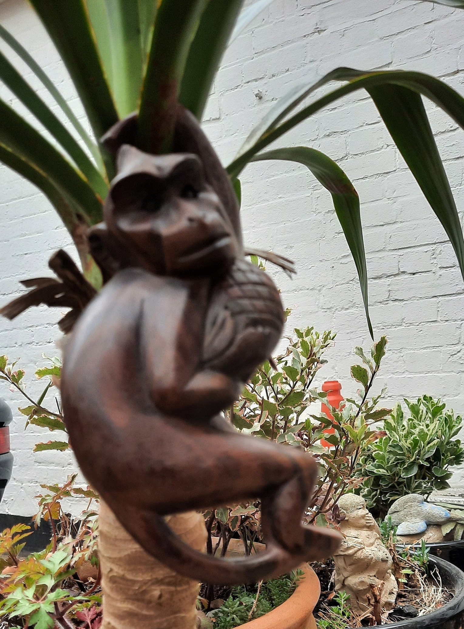 Vintage hand carved hard wood hanging monkey plant display Etsy