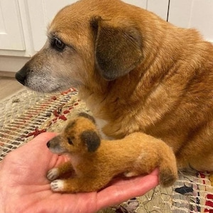 Needle felted animal, custom dog sculpture