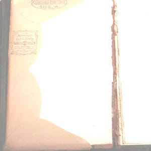 Back Hinge