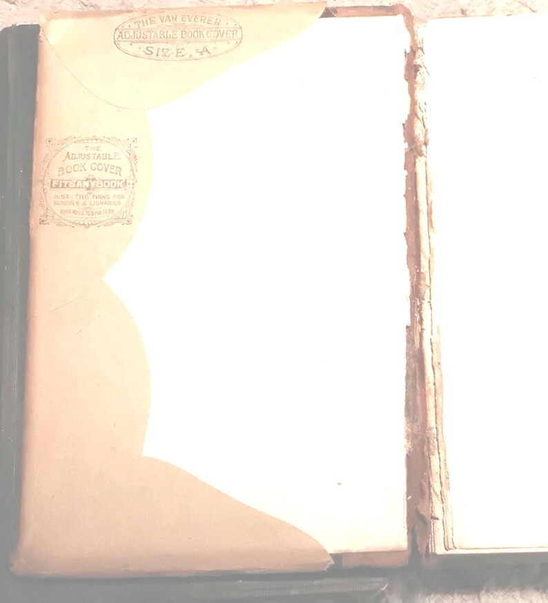 Back Hinge