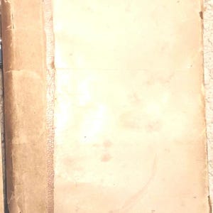 Back Board