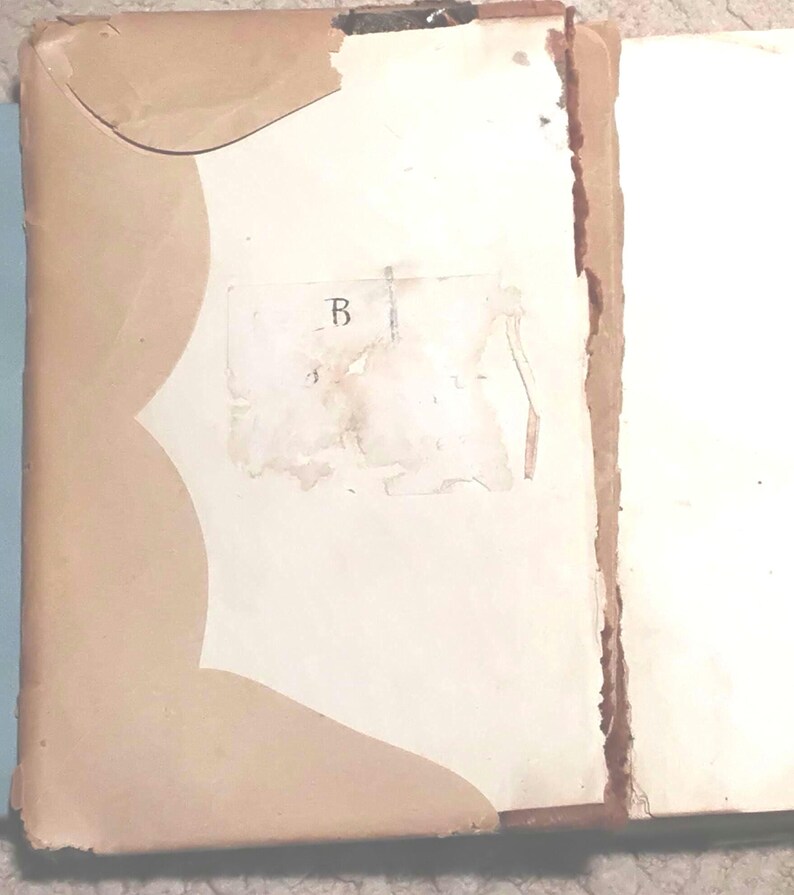 Front Hinge
